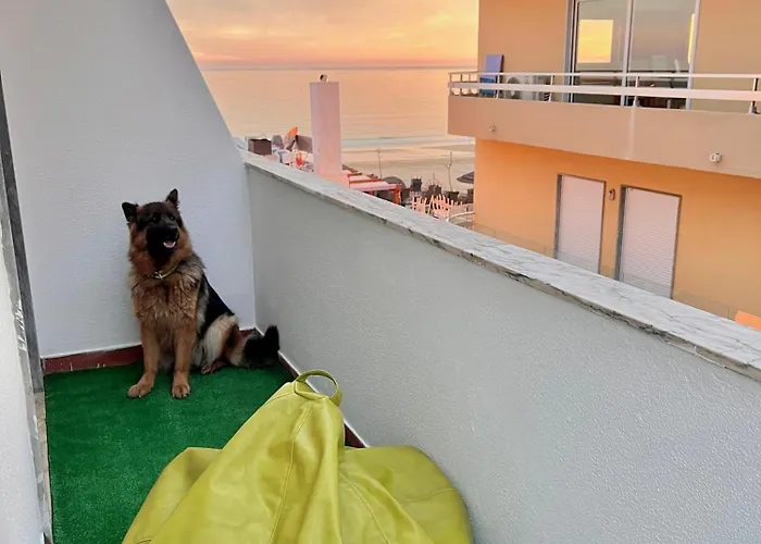 T1 Ideal - Da * Praia da Rocha